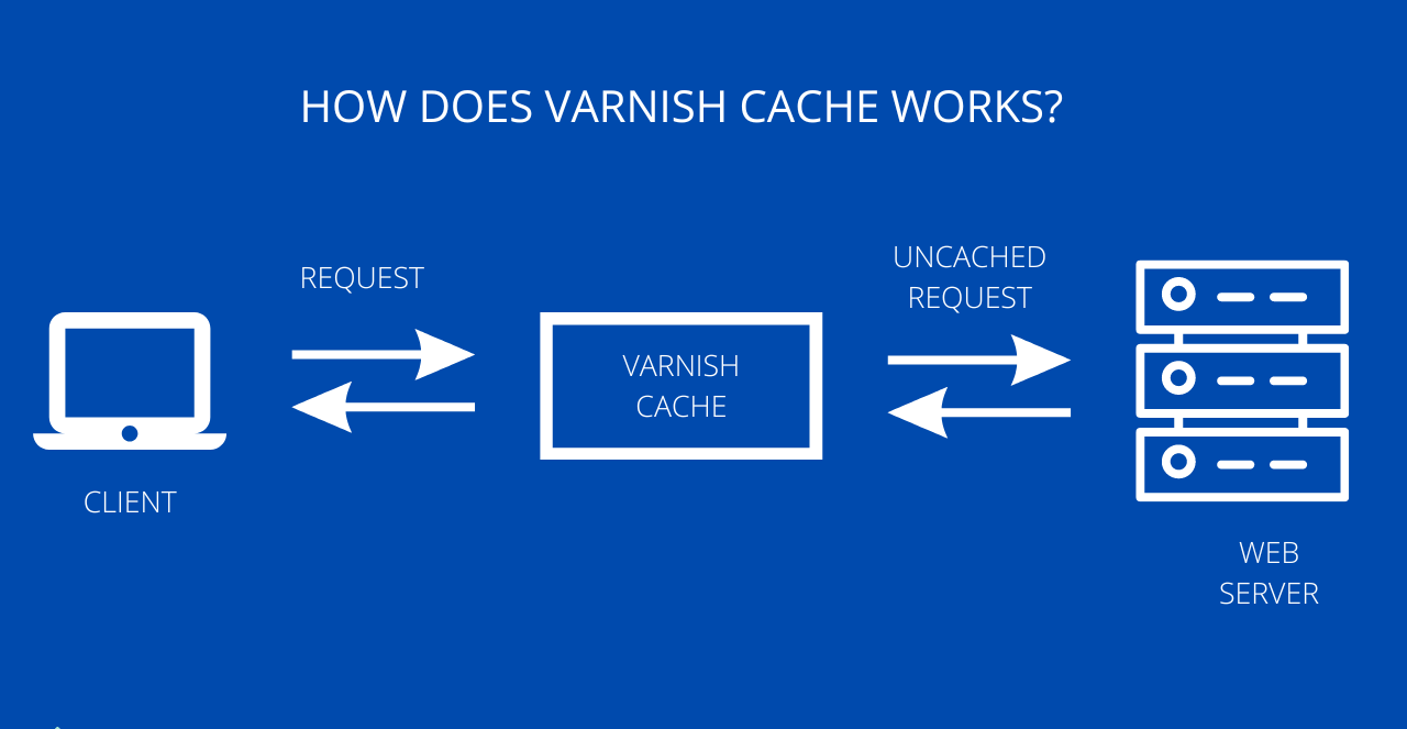 VARNISH-CACHE-WORKS