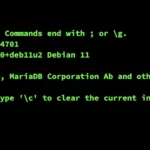 mariadb-root